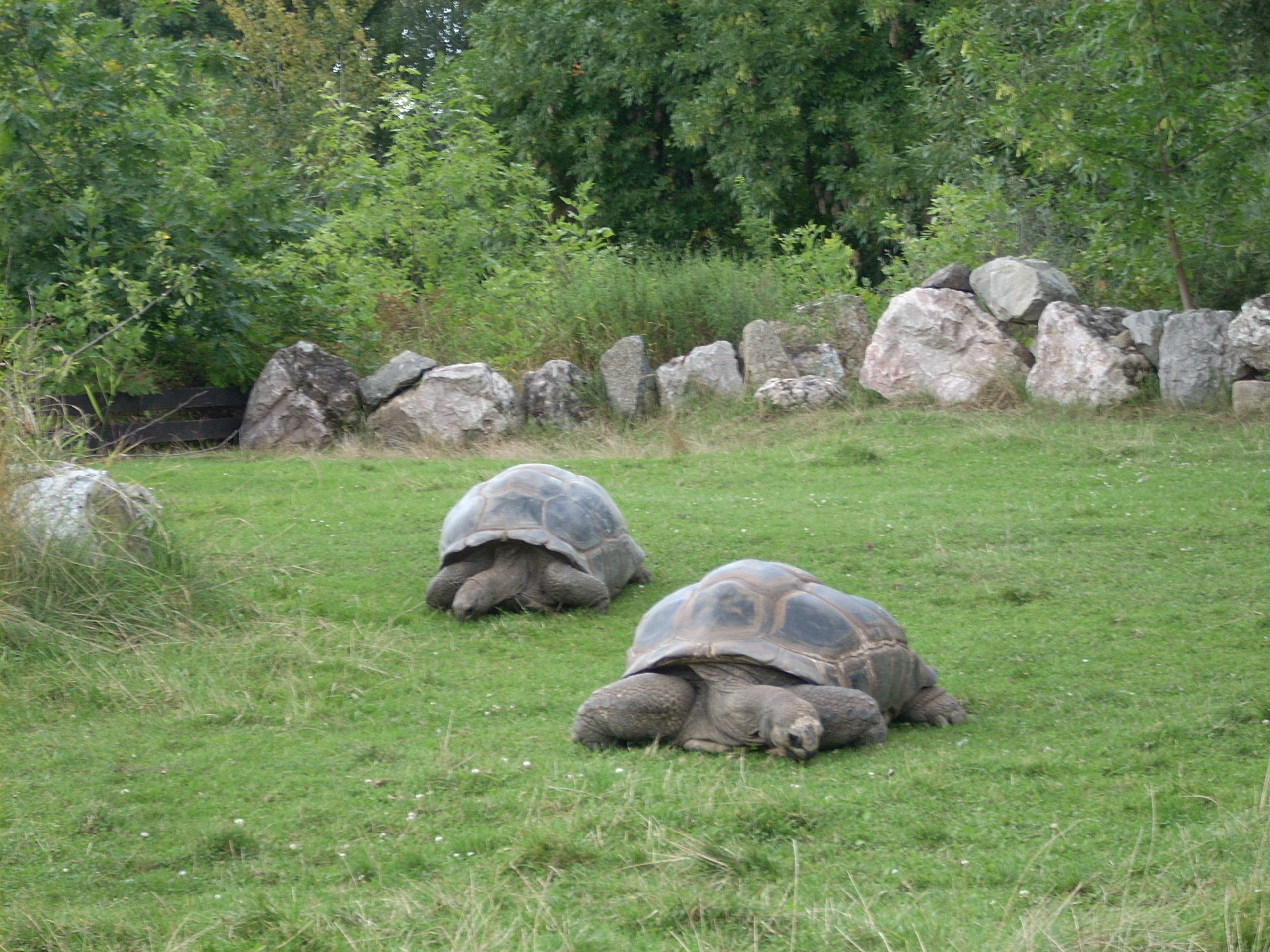 DSCN0050.JPG