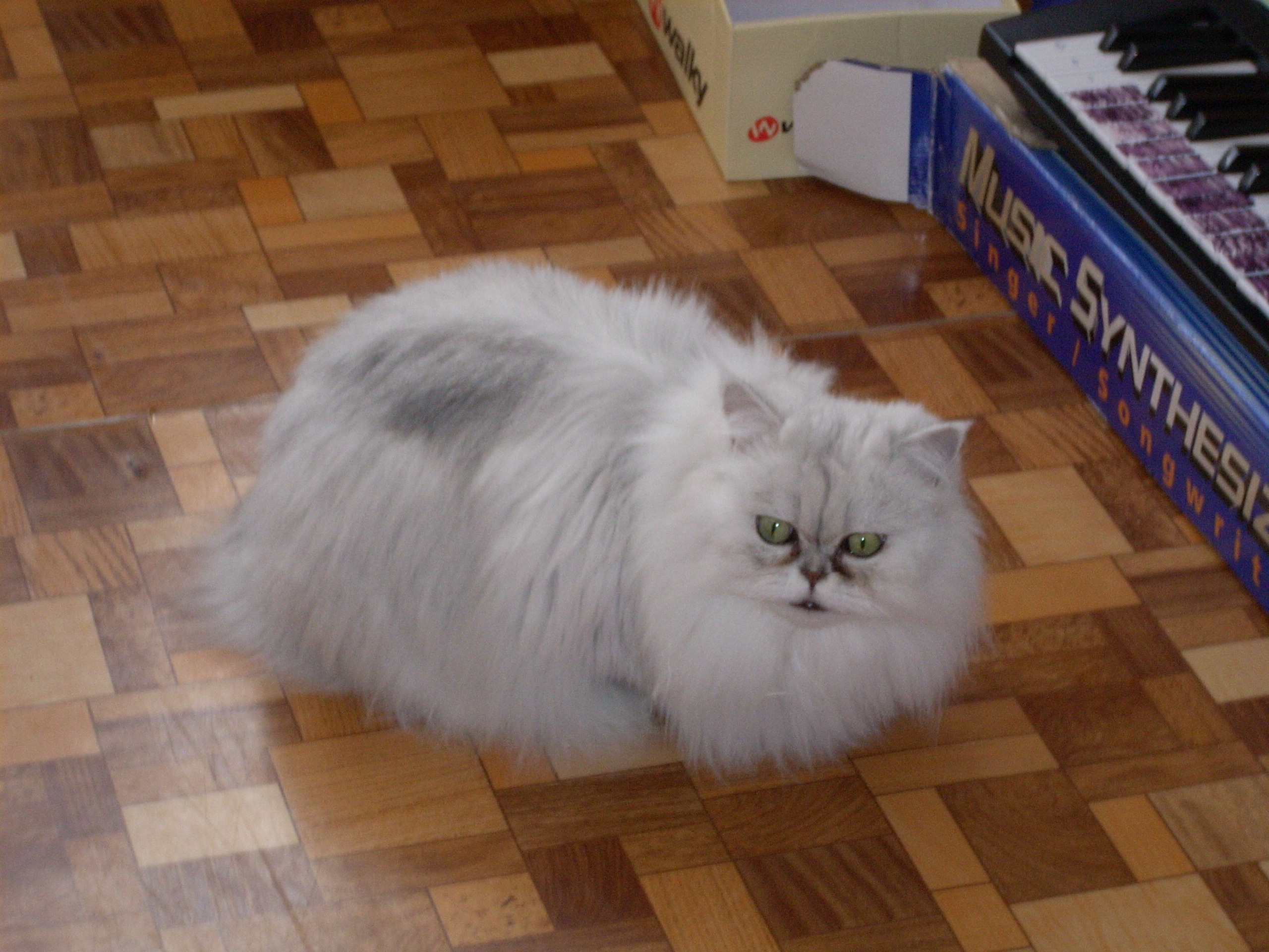 DSCN0015.JPG