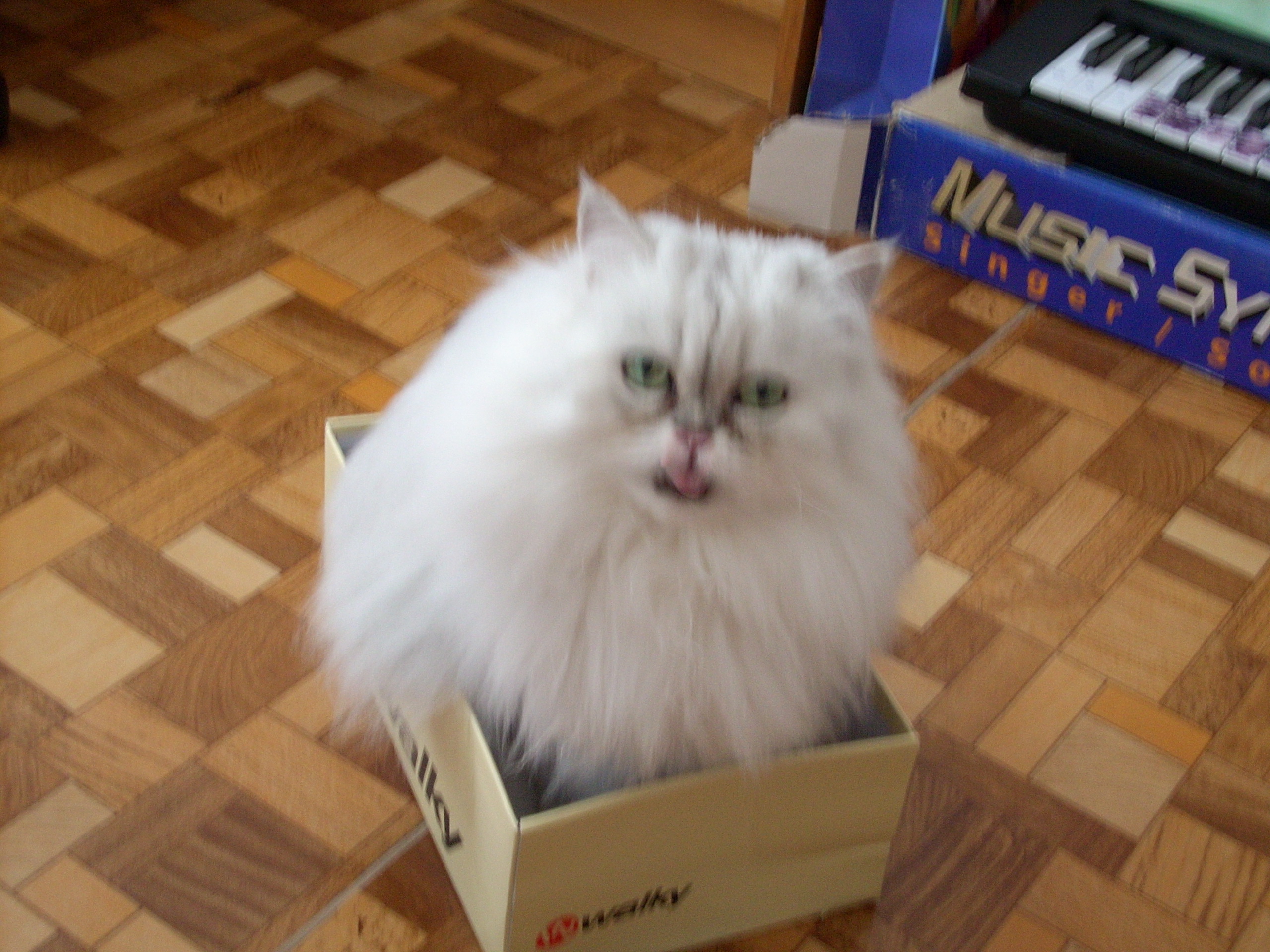 DSCN0077.JPG
