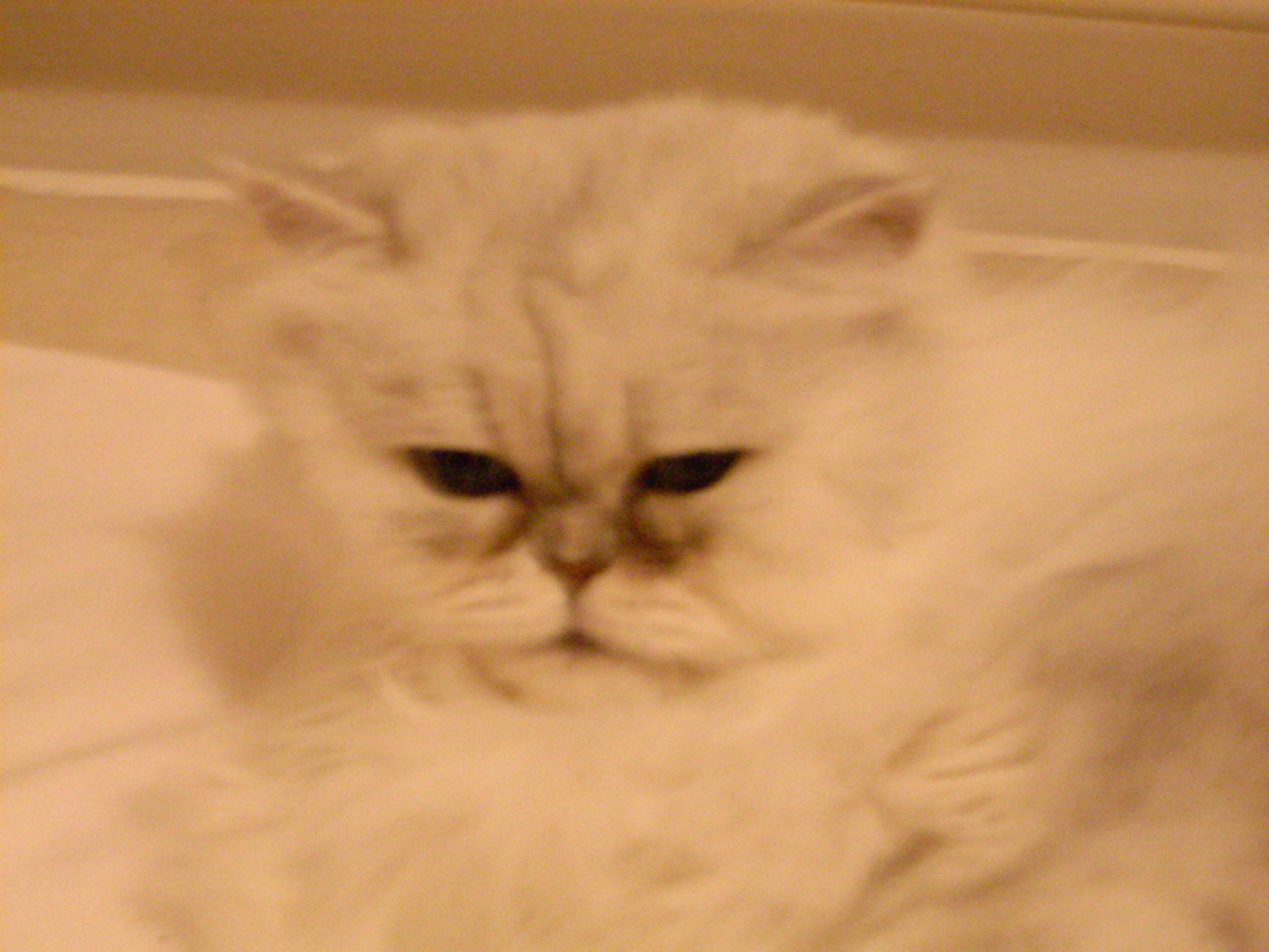 DSCN0201.JPG