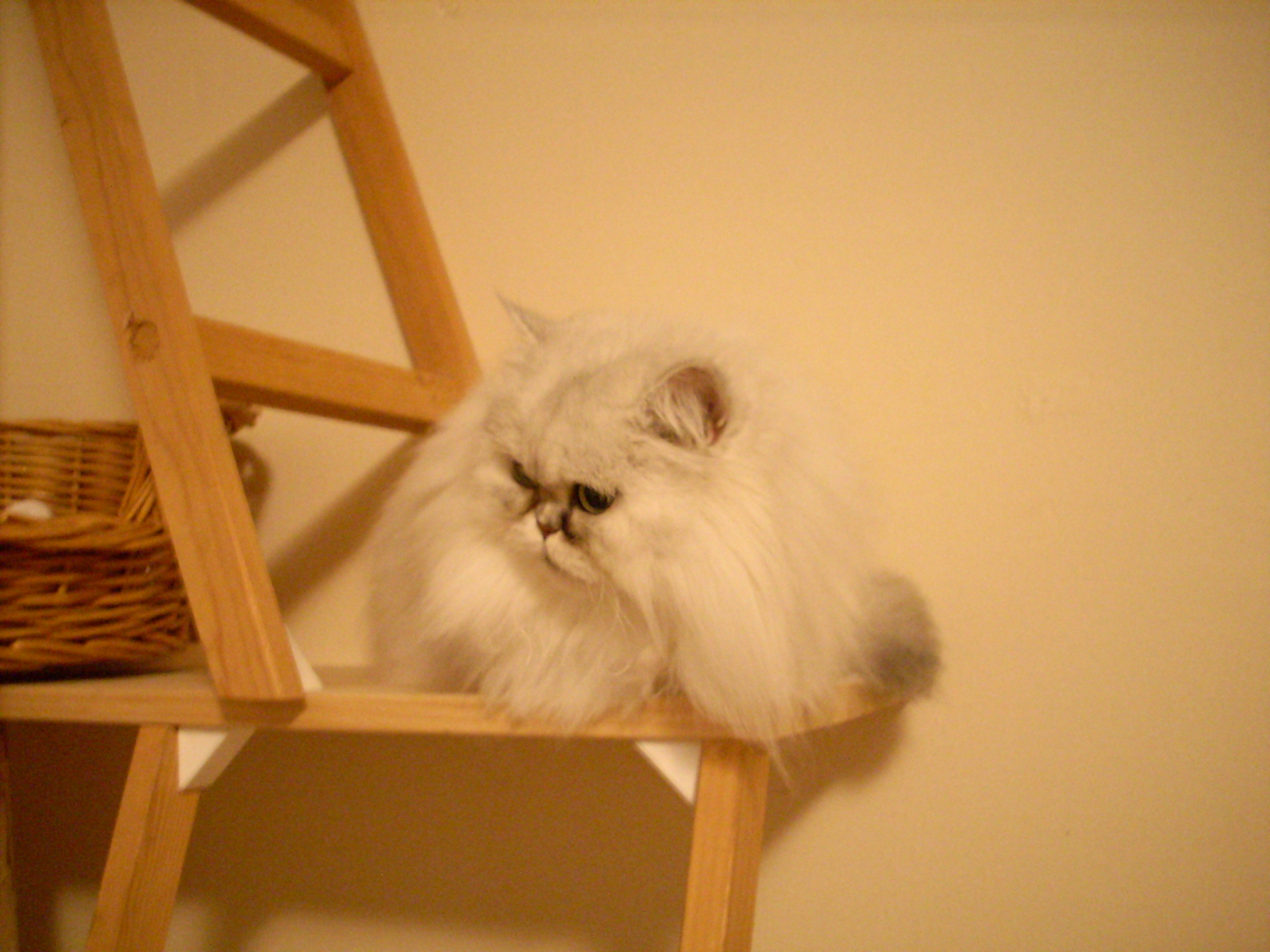 DSCN0192.JPG