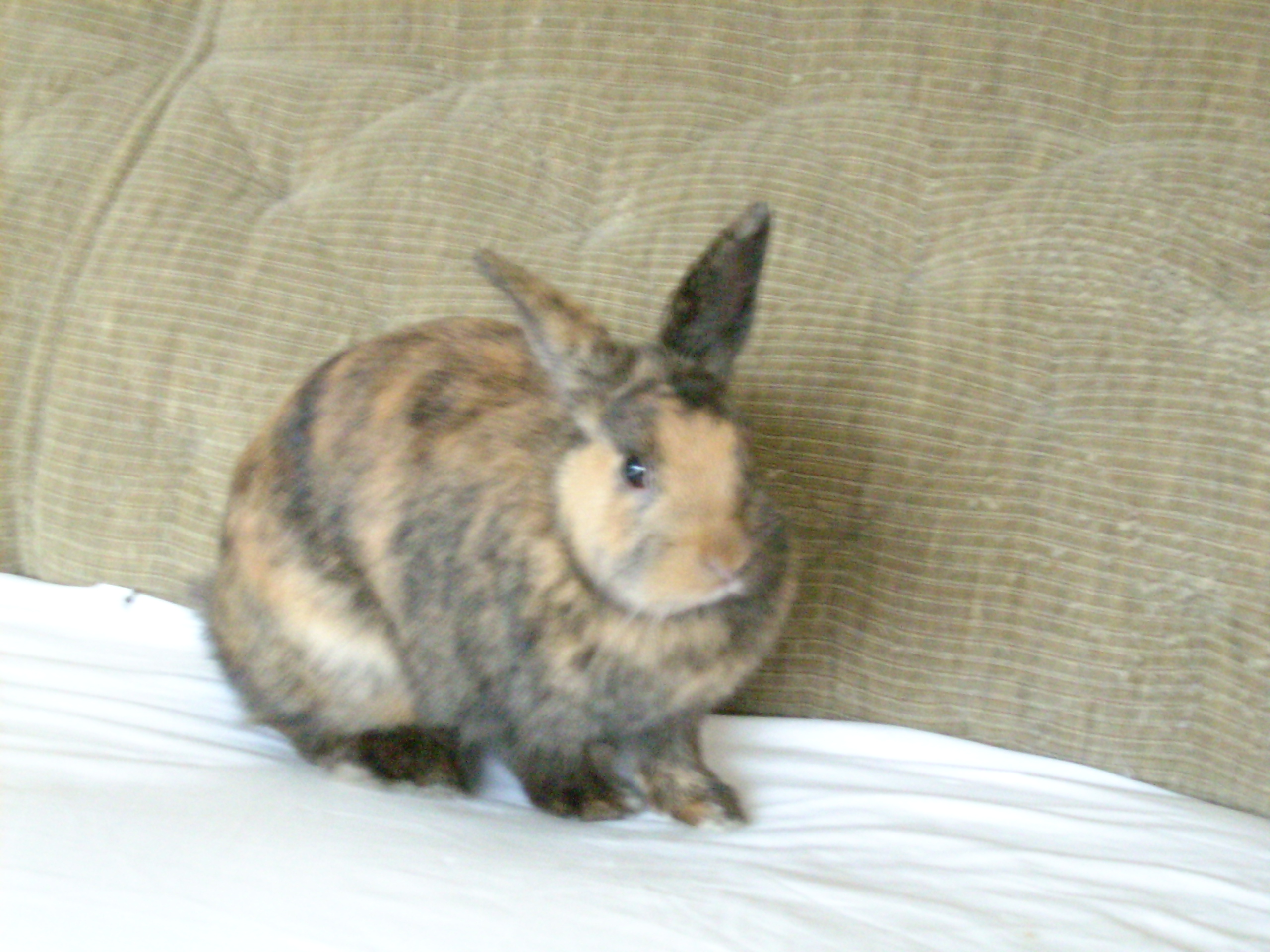 DSCN0084.JPG